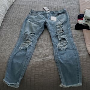 Cello distressed jeans